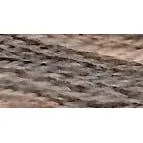 Driftwood 1080W Simply Wool