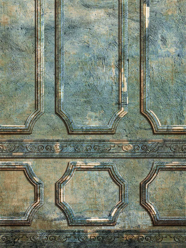Forgotten Vintage Distressed Panel Photography Backdrop