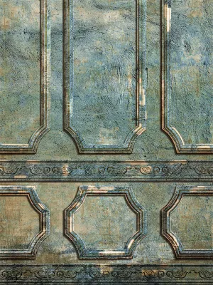 Forgotten Vintage Distressed Panel Photography Backdrop