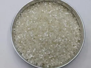 Off White 2 Cut Glass Seed Beads- 2 mm