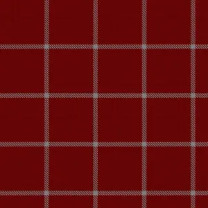 Piper Rowdy' Roddy Ancient Tartan