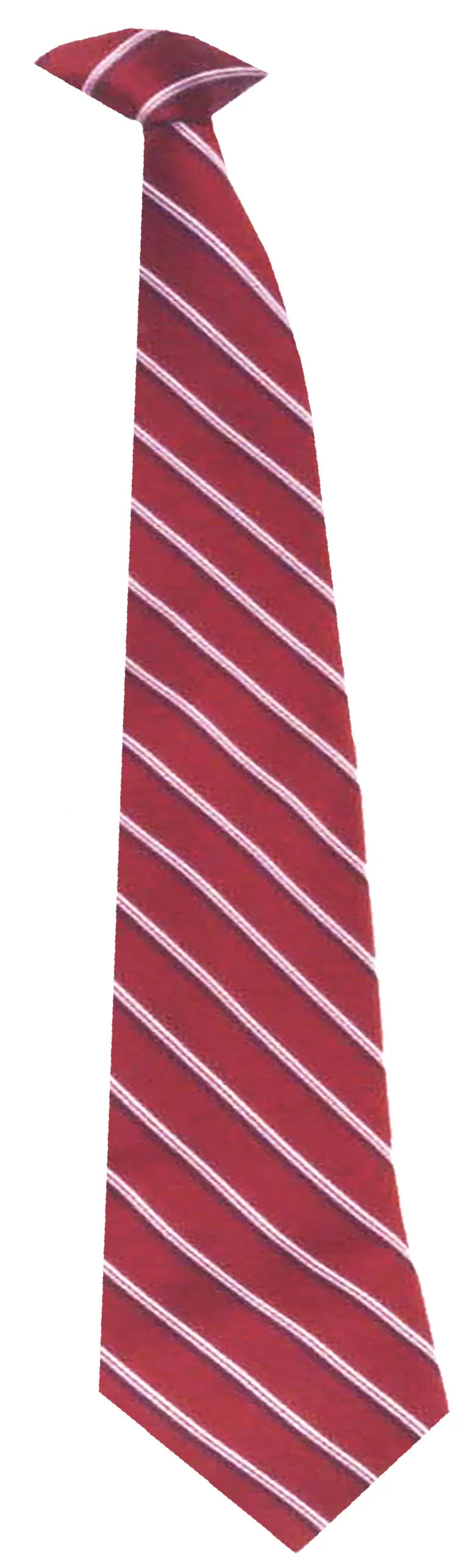Professional Clip-on Tie