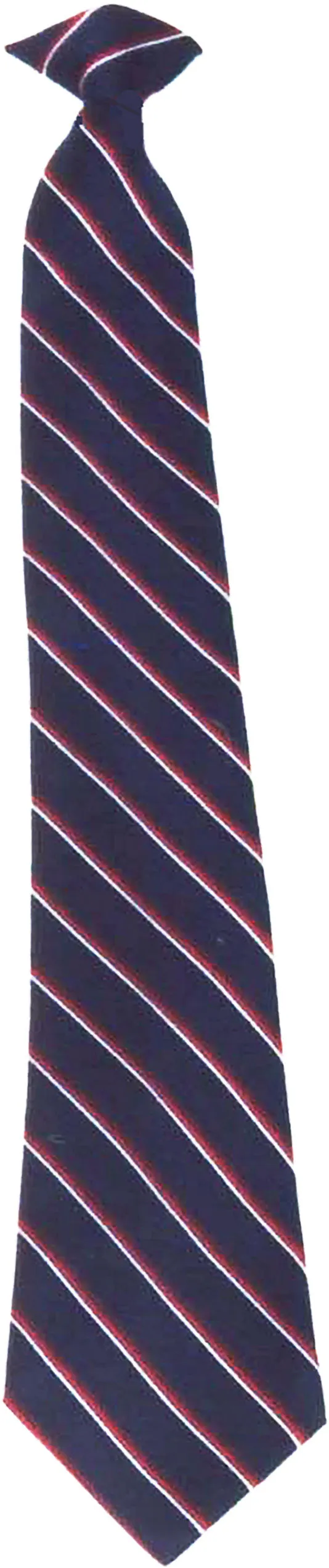 Professional Clip-on Tie