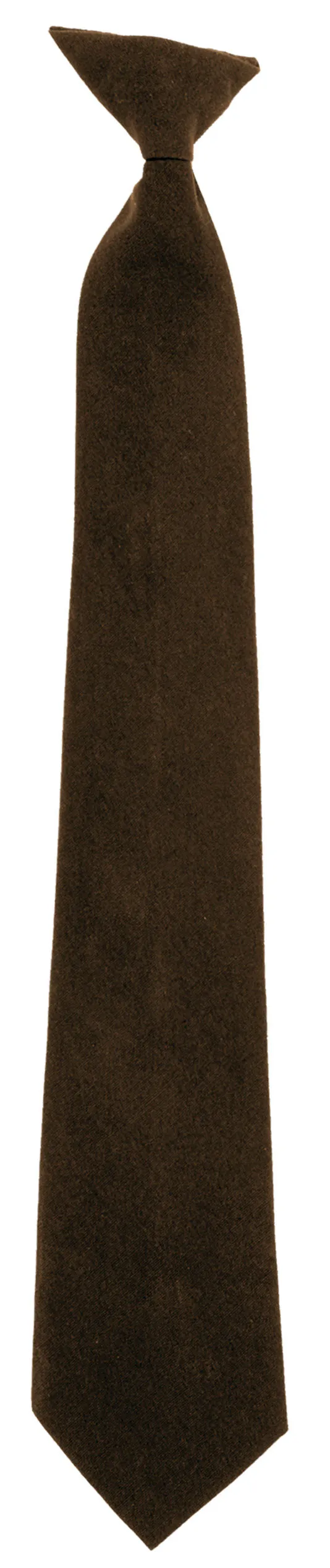 Professional Clip-on Tie