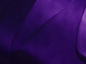Ultramarine Violet artists oil color